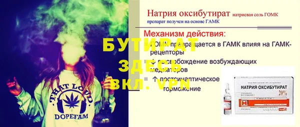 индика Елизово
